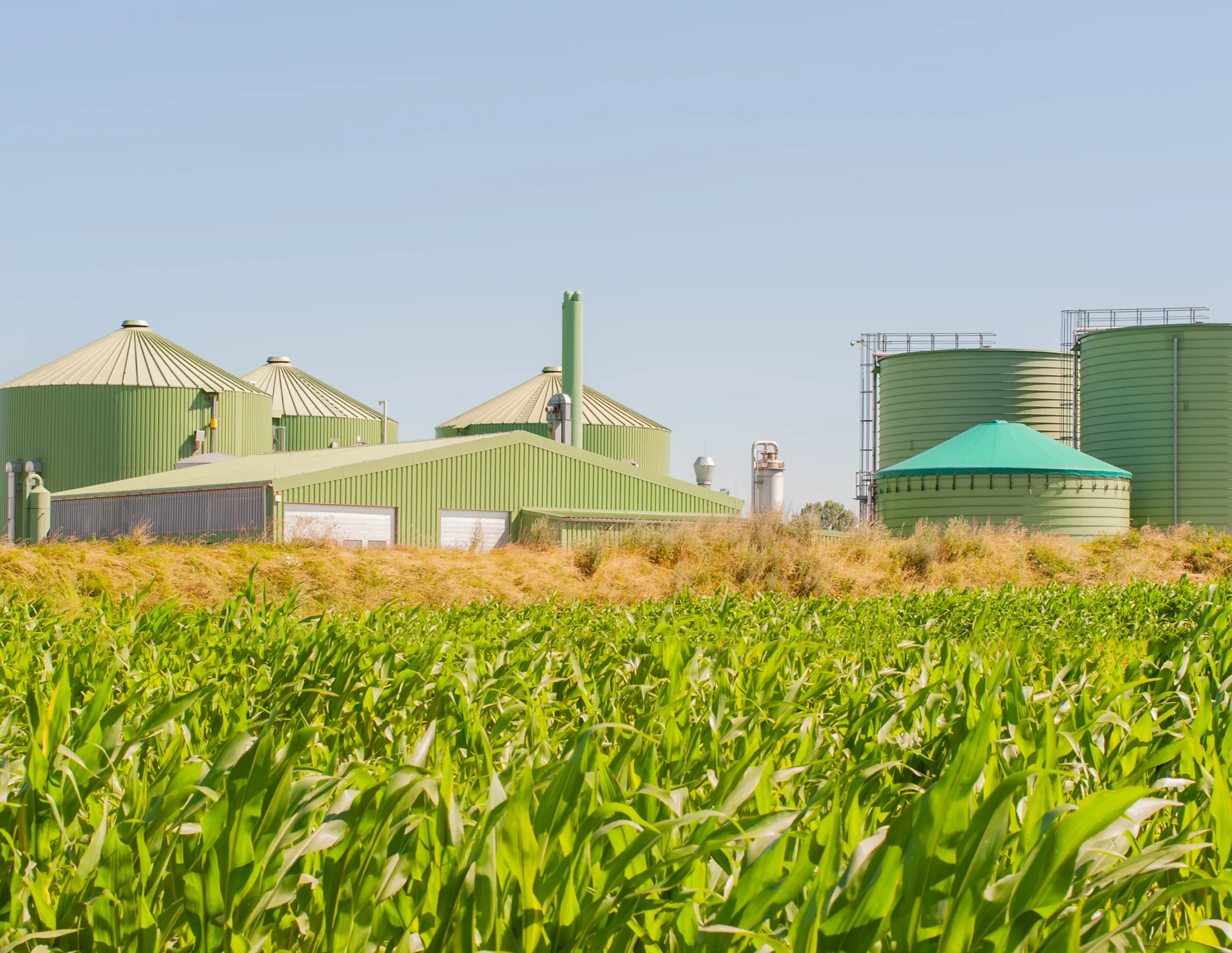 Bio-Gas generation from Napier Grass